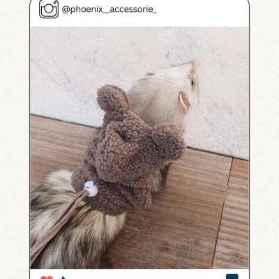 Pelúcia ursinho (teddy)