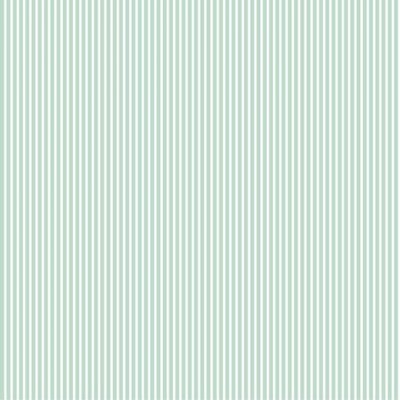 Tecido de Algodão - Riscas - Stripes