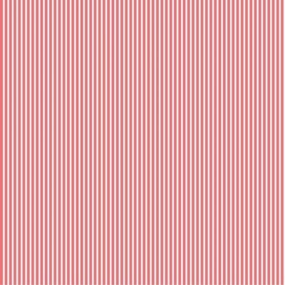 Tecido de Algodão - Riscas - Stripes