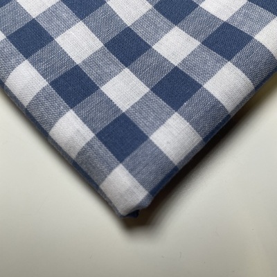 Retalho 40x144cm - Xadrez vichy médio - Azul Ganga