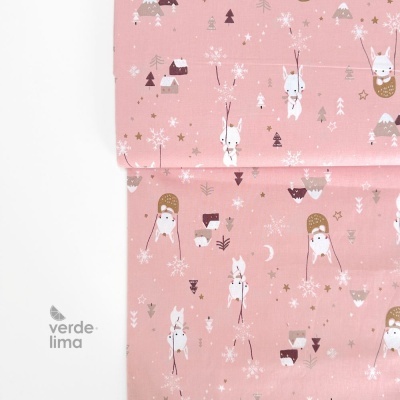 Tecido de Algodão - Winter Friends - Animais voadores