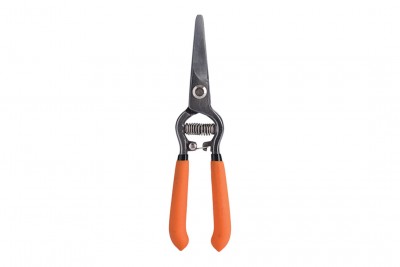 Tesoura de corte com cabos laranja em fundo branco