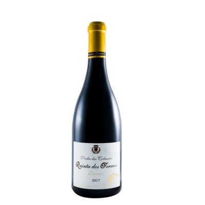 Garrafa de vinho tinto Quinta dos Termos 2017