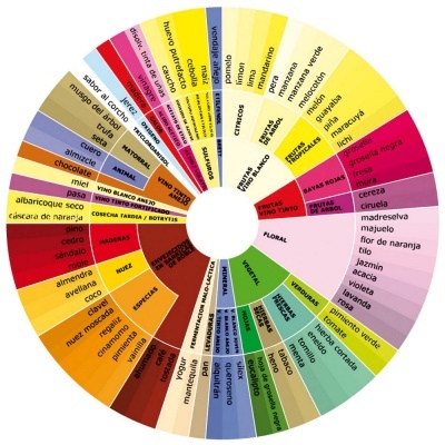 Roda colorida de aromas e sabores do vinho com texto em português