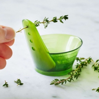 Suporte verde translúcido para ervas aromáticas com ramos de ervas frescas