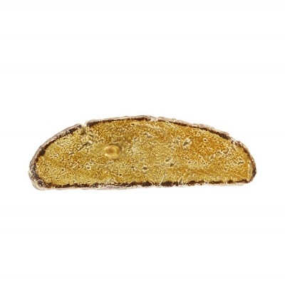 Fatia de pão dourada com crosta castanha sobre fundo branco