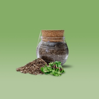 Frasco com mistura de sementes e ramo verde sobre fundo verde