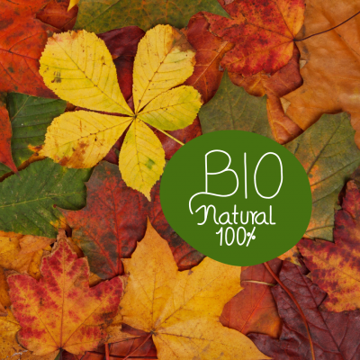 Folhas de outono coloridas com selo verde BIO Natural 100%