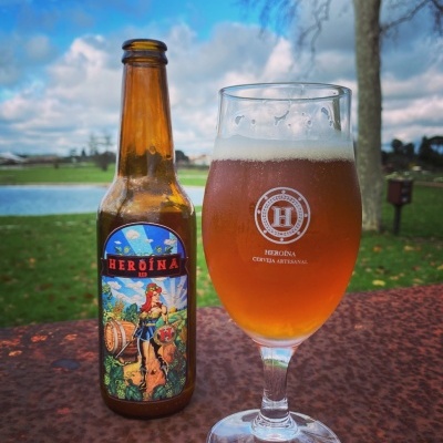 Garrafa e copo de cerveja âmbar sobre mesa com jardim ao fundo