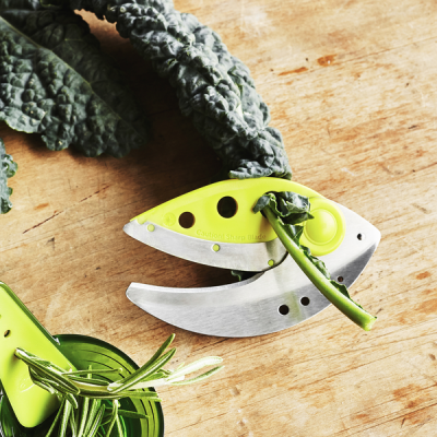 Tesoura de cozinha verde a cortar planta sobre madeira clara