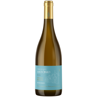 Garrafa de vinho branco com rótulo azul claro e tampa dourada