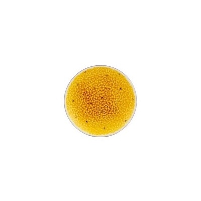 Prato redondo com textura granulada amarela e laranja