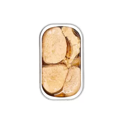 Lata metálica com filetes de peixe em azeite, vista superior, fundo branco