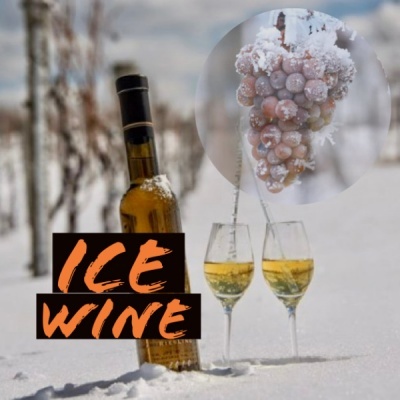 Garrafa de vinho gelo com taças na neve e uvas congeladas