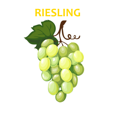Ilustração de cacho de uvas verdes com texto RIESLING amarelo