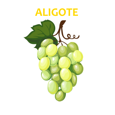 Cacho de uvas verdes com texto ALIGOTE em amarelo