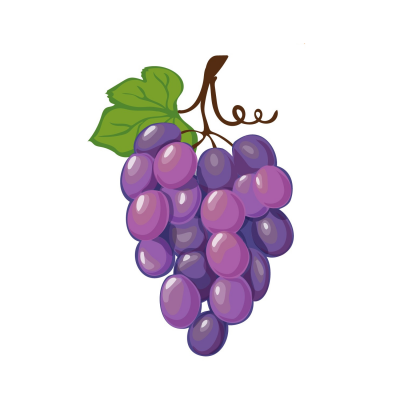 Cacho de uvas roxas com folhas verdes em ilustração digital