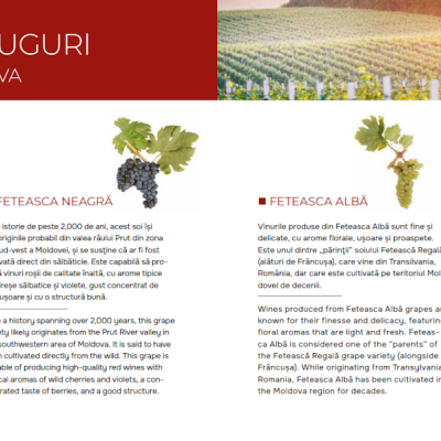 Página com texto e imagens pequenas de cachos de uvas e vinhas, título sobre variedades de uvas na Moldávia