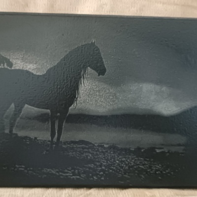 Retrato preto e branco de um cavalo emoldurado sobre fundo claro