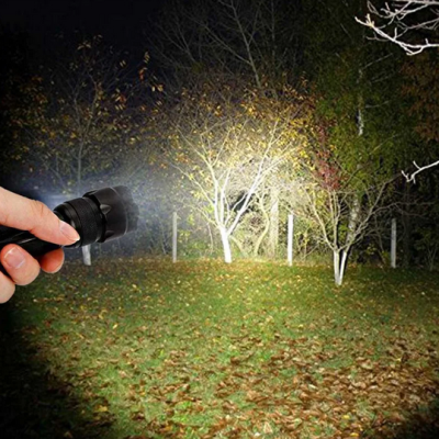 Lanterna preta a iluminar árvores e relva à noite