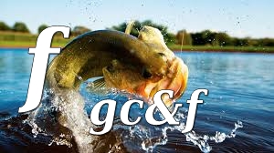 Fernando Gomes Castanheira & Filhos , Lda