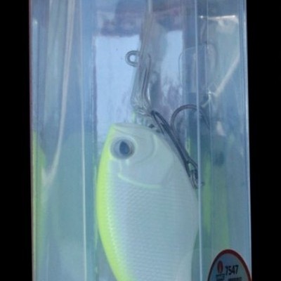 Isca artificial branco com amarelo dentro de caixa protetora transparente