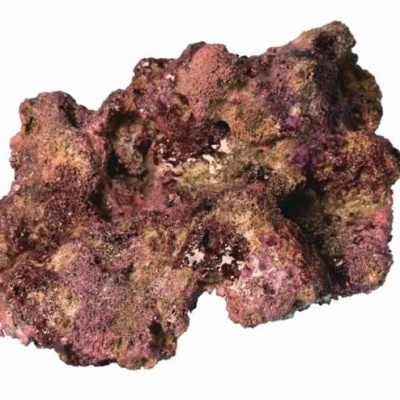 Rocha artificial rugosa colorida para aquário