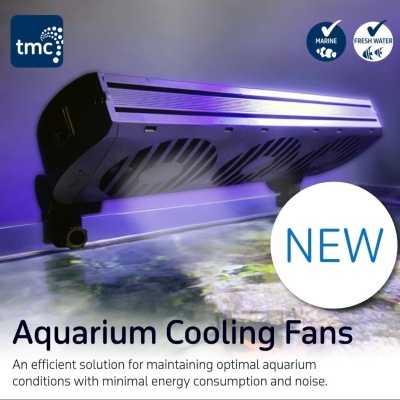 Ventoinha de arrefecimento preta para aquário com múltiplos ventiladores montada na borda de aquário iluminado a roxo.