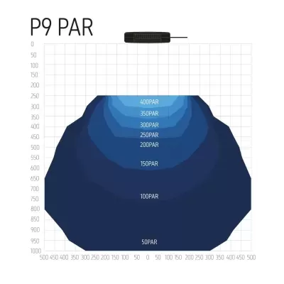 Gráfico em azul mostrando níveis PAR com texto P9 PAR
