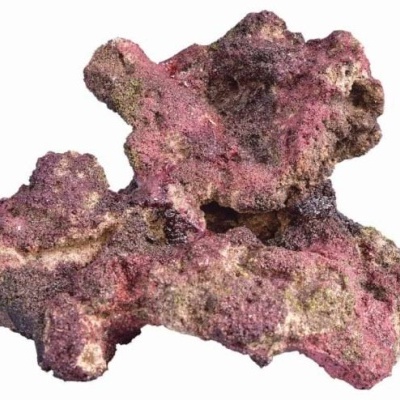 Rochedo artificial poroso em tons roxo, rosa e bege