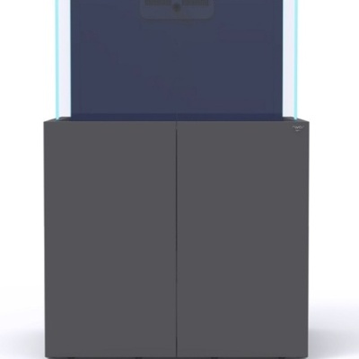 Aquário com base em armário cinzento e vidro transparente