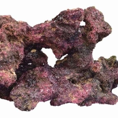 Peça de coral artificial roxa com textura rugosa