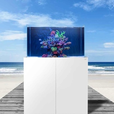 Aquário retangular com coral colorido sobre móvel branco numa passarela de madeira à beira-mar