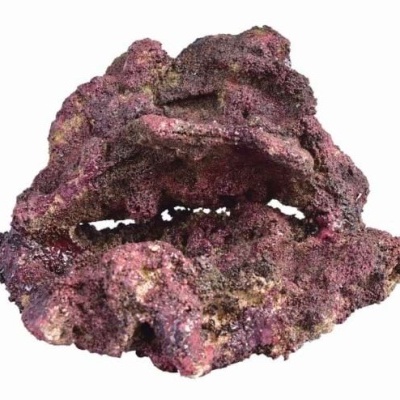 Peça de coral artificial rosa e roxo para aquário sobre fundo branco