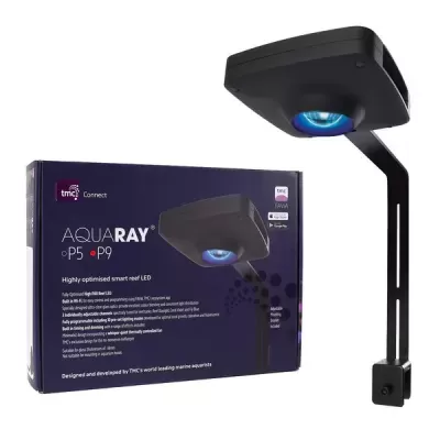 Lâmpada LED AquaRay P5 P9 preta com luz azul e caixa roxa