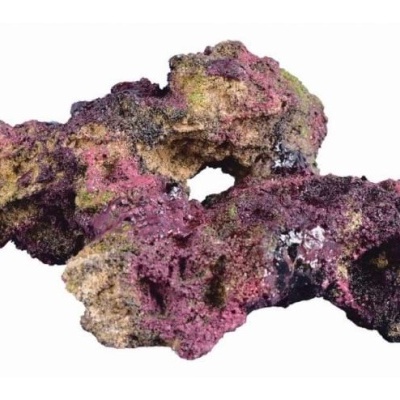 Rocha decorativa colorida para aquário com textura porosa