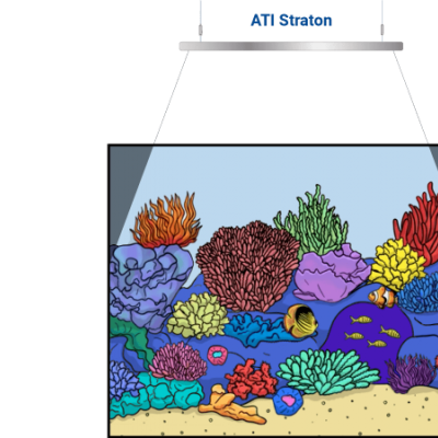 Aquário com corais artificiais e peixes coloridos iluminados por luz ATI Straton