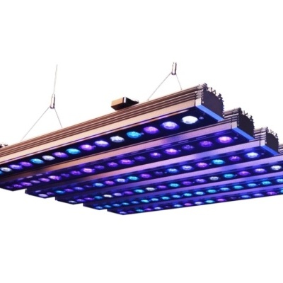 Luz de cultivo LED suspensa com luzes azuis e roxas
