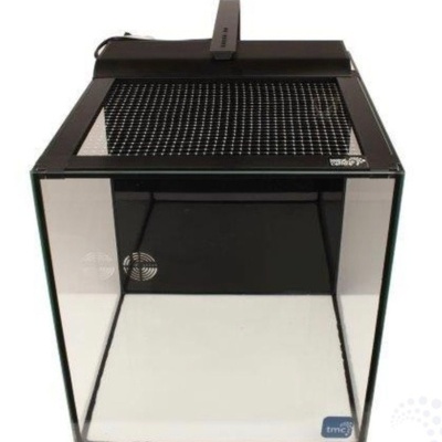 Aquário de vidro transparente com estrutura e tampa preta