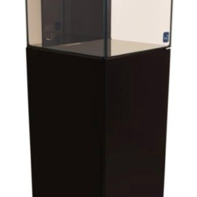 Aquário de vidro transparente com suporte preto e iluminação de topo