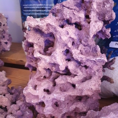 Peça de coral sintético rosa com textura porosa sobre madeira