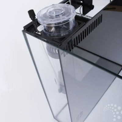 Recipiente acrílico transparente com tampa e estrutura preta