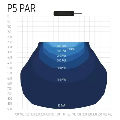 Gráfico de intensidade de luz P5 PAR em tons de azul com valores PAR numerados