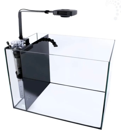 Aquário de vidro transparente com filtro e iluminação LED