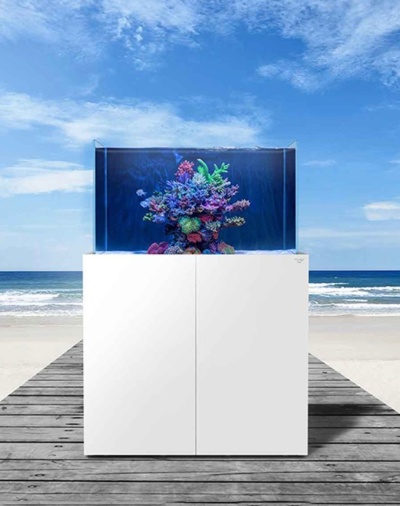 Aquário retangular com coral colorido sobre móvel branco numa passarela de madeira à beira-mar