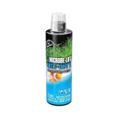 Frasco de Microbe-Lift Nite-Out II Starter Bacteria com rótulo azul e verde, tampa transparente