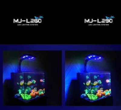 Dois aquários com iluminação LED destacando corais fluorescentes coloridos em fundo escuro.