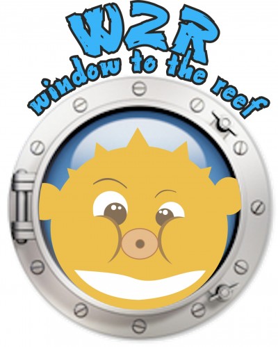 Logótipo com peixe amarelo dentro de escotilha metálica e texto W2R window to the reef