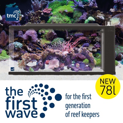 Aquário de recife 78 litros com corais coloridos e texto promocional