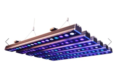 Luz de cultivo LED suspensa com luzes azuis e roxas